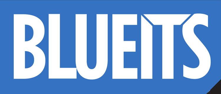BLUEITS GmbH